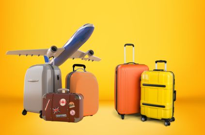 Luggage Delivery